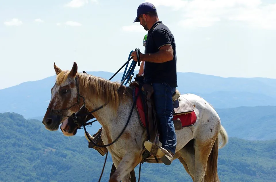 Cavaliere sul Monte Alpi