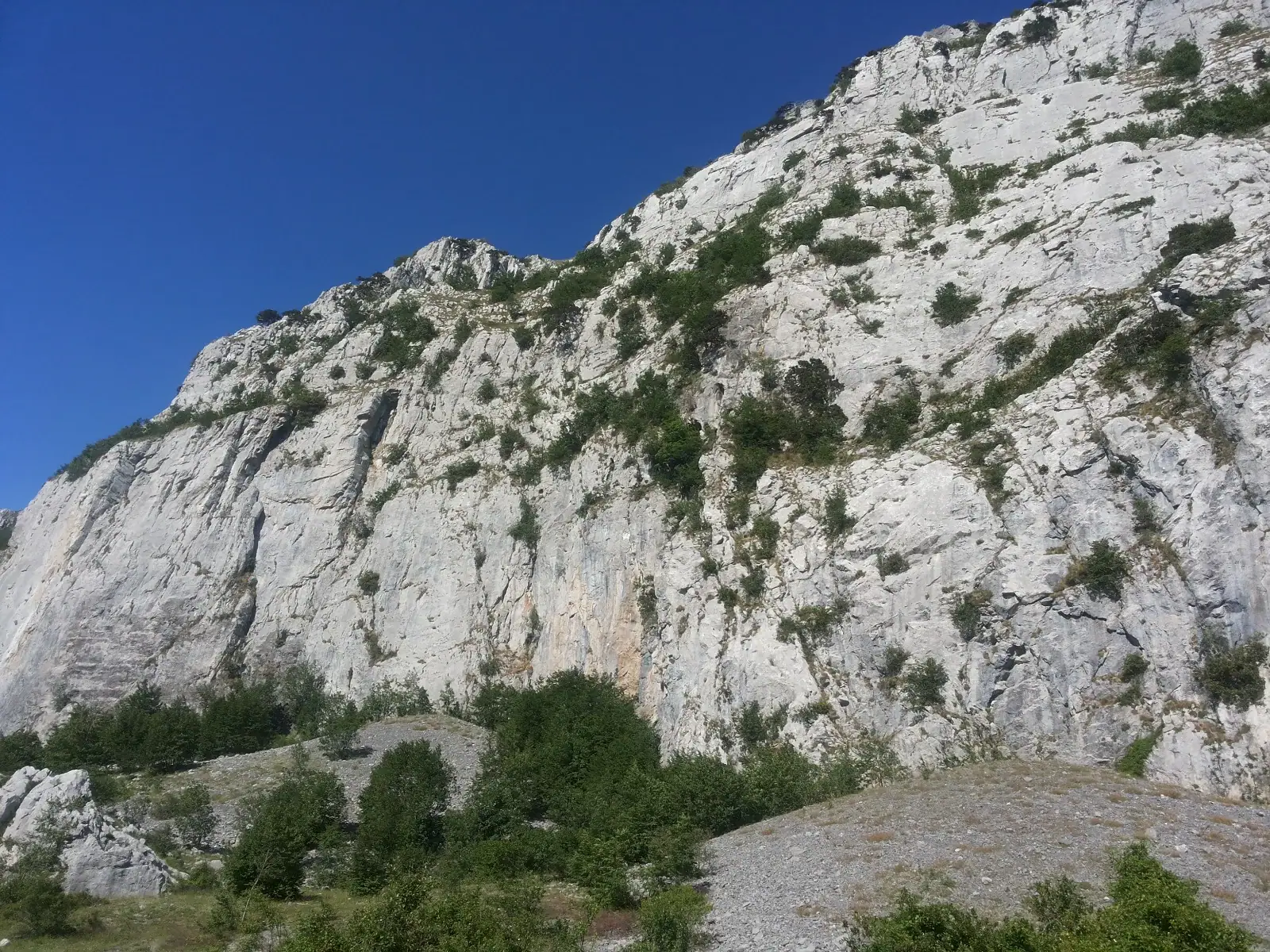Pareti calcaree del Monte Alpi