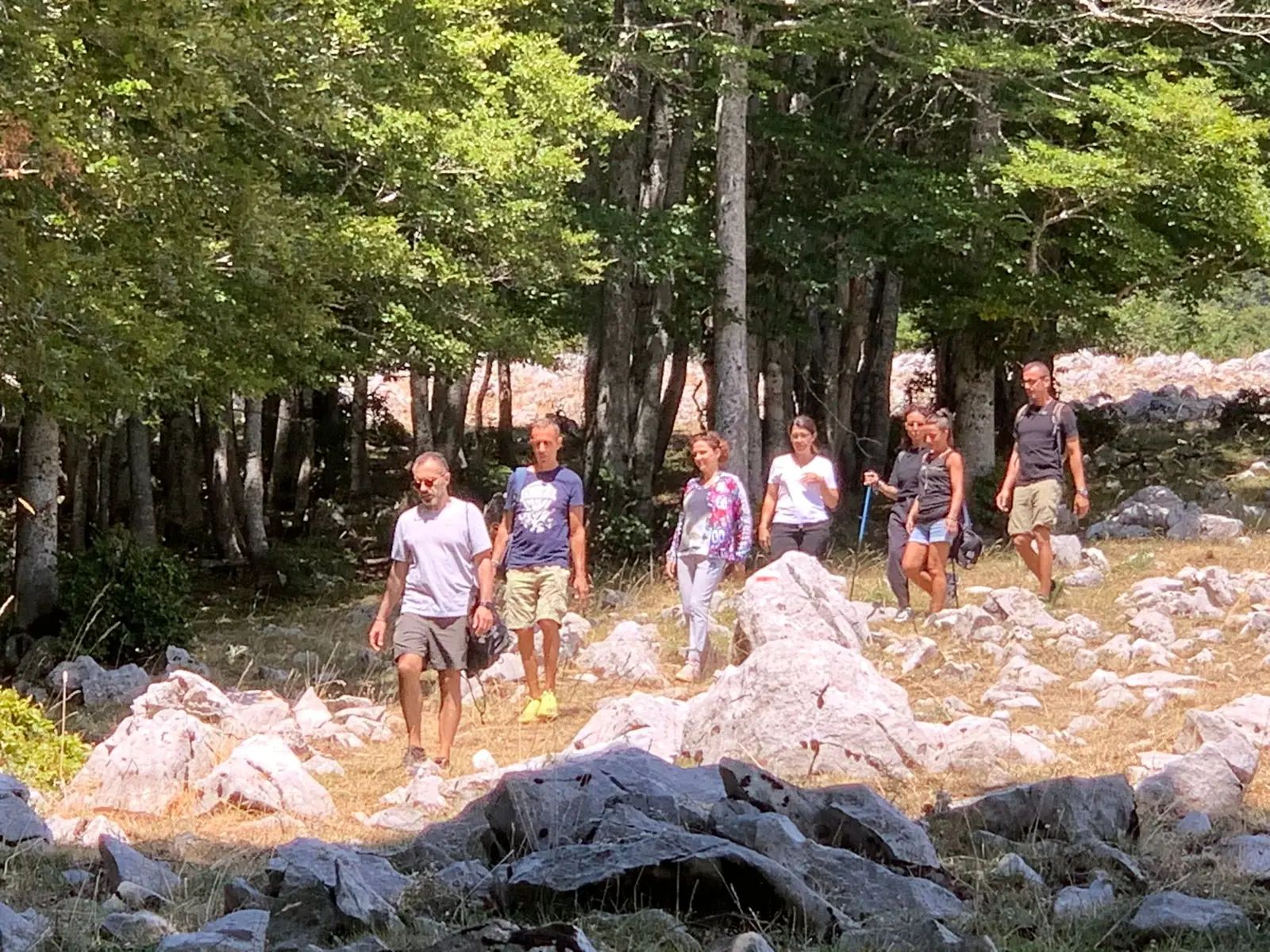 Trekking Monte Alpi