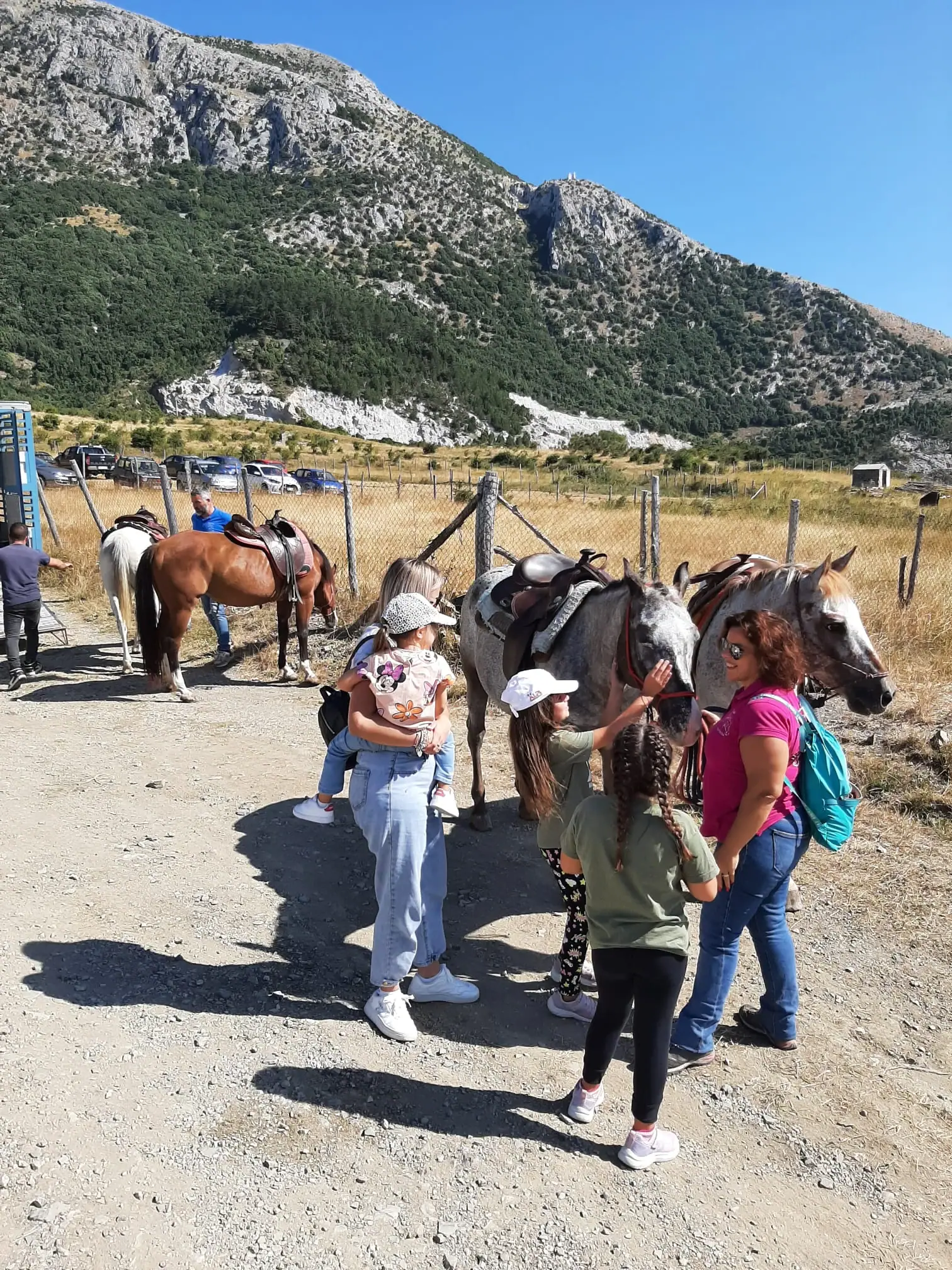 Cavallo e famiglie