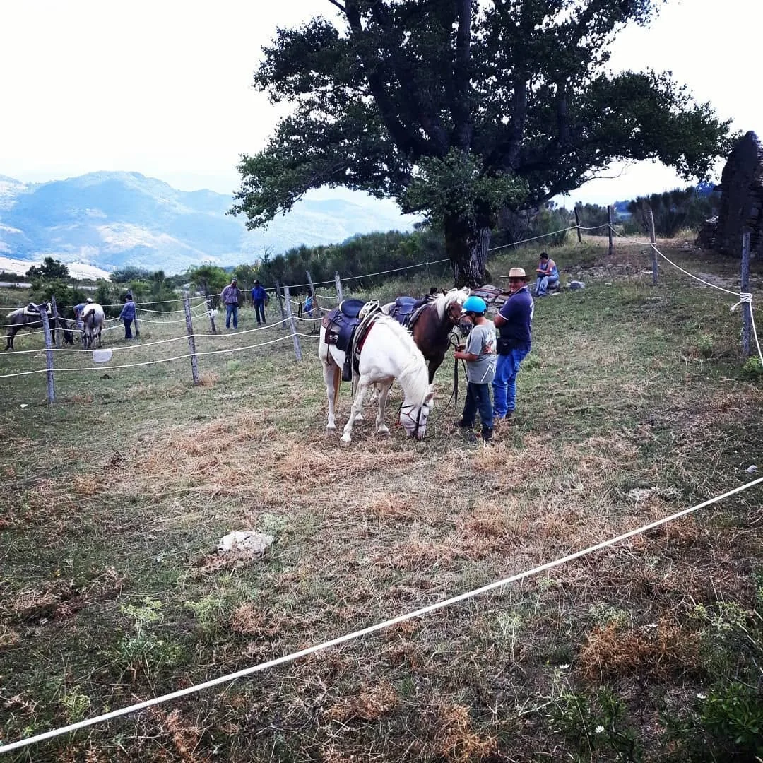 XAlpi 2018 · archivio