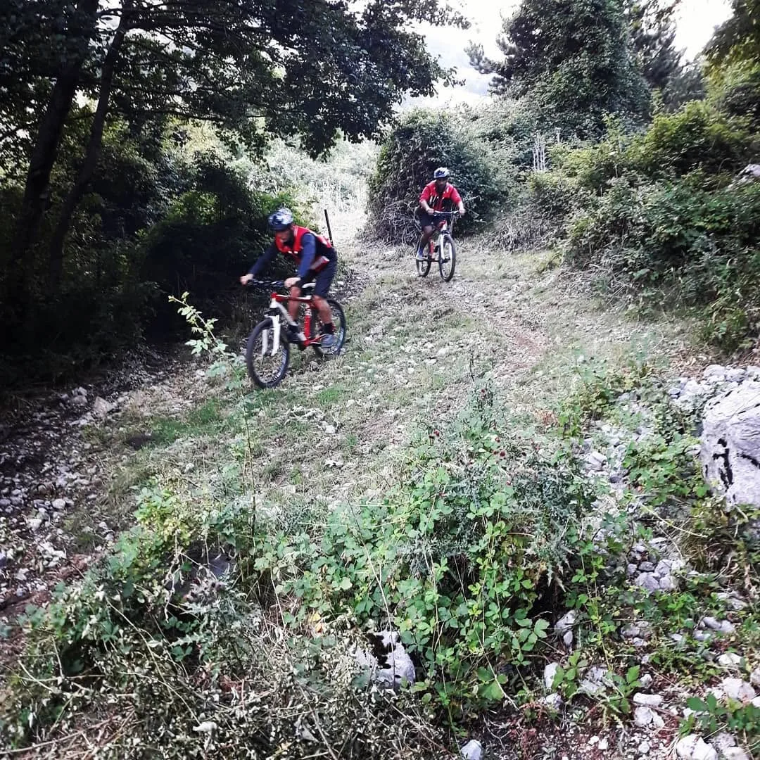 XAlpi 2018 · archivio