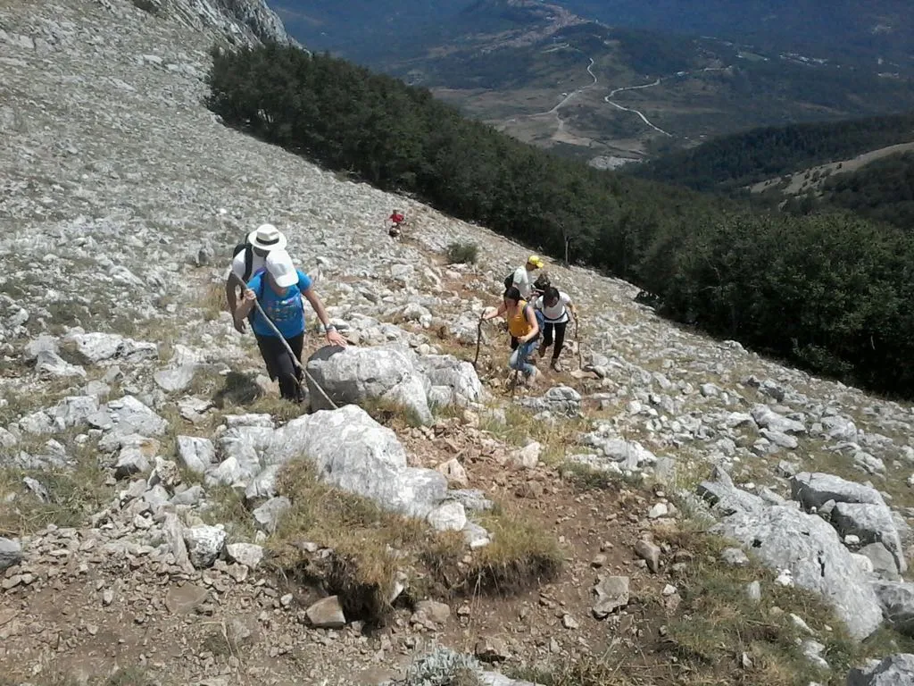 XAlpi 2018 · archivio